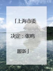 上海市委决定：张鸣履新