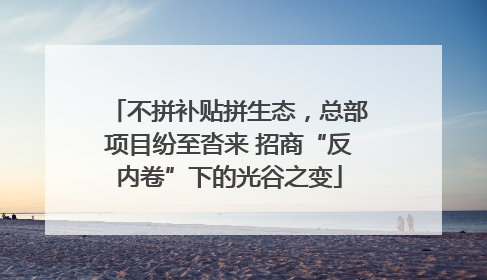 不拼补贴拼生态，总部项目纷至沓来 招商“反内卷”下的光谷之变