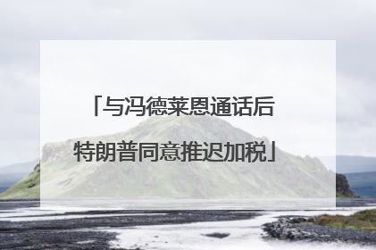 与冯德莱恩通话后 特朗普同意推迟加税