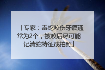 专家：毒蛇咬伤牙痕通常为2个，被咬后尽可能记清蛇特征或拍照