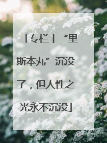 专栏丨“里斯本丸”沉没了，但人性之光永不沉没