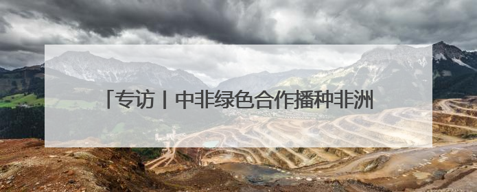 专访丨中非绿色合作播种非洲“绿色长城”的未来——访毛里塔尼亚环境部长拉格达夫