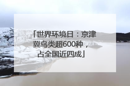 世界环境日：京津冀鸟类超600种，占全国近四成