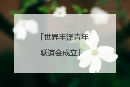 世界丰泽青年联谊会成立