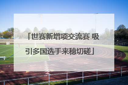 世赛新增项交流赛 吸引多国选手来穗切磋