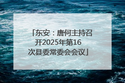 东安：唐何主持召开2025年第16次县委常委会会议