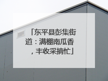 东平县彭集街道：满棚南瓜香，丰收采摘忙