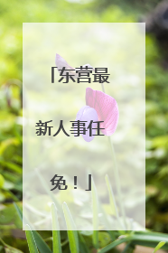 东营最新人事任免！