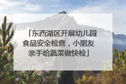 东西湖区开展幼儿园食品安全检查，小朋友亲手给蔬菜做快检