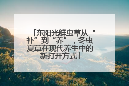 东阳光鲜虫草从“补”到“养”，冬虫夏草在现代养生中的新打开方式