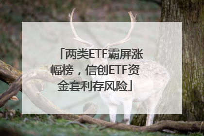 两类ETF霸屏涨幅榜，信创ETF资金套利存风险
