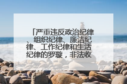 严重违反政治纪律、组织纪律、廉洁纪律、工作纪律和生活纪律的罗璇，非法收受他人巨额财物