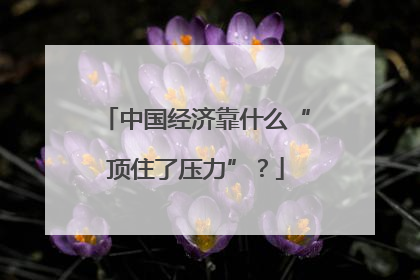 中国经济靠什么“顶住了压力”？
