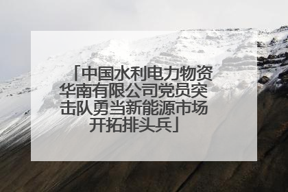 中国水利电力物资华南有限公司党员突击队勇当新能源市场开拓排头兵