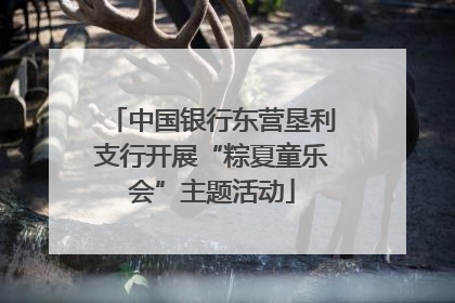 中国银行东营垦利支行开展“粽夏童乐会”主题活动