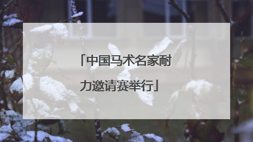 中国马术名家耐力邀请赛举行
