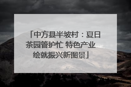 中方县半坡村：夏日茶园管护忙 特色产业绘就振兴新图景