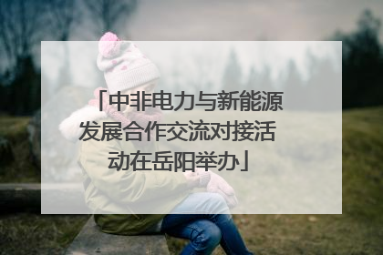 中非电力与新能源发展合作交流对接活动在岳阳举办
