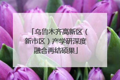 乌鲁木齐高新区（新市区）产学研深度融合再结硕果