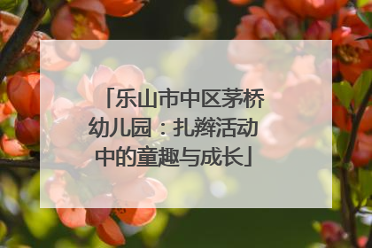 乐山市中区茅桥幼儿园：扎辫活动中的童趣与成长