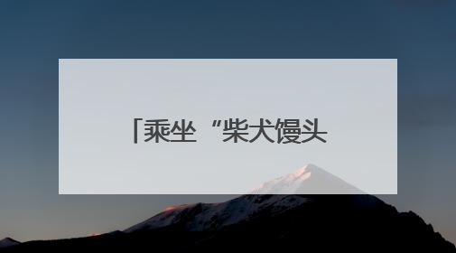 乘坐“柴犬馒头号”抵达治愈，带上宠物去逛个展