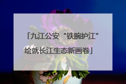 九江公安“铁腕护江”绘就长江生态新画卷