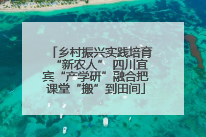 乡村振兴实践培育“新农人” 四川宜宾“产学研”融合把课堂“搬”到田间