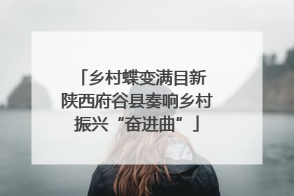 乡村蝶变满目新 陕西府谷县奏响乡村振兴“奋进曲”