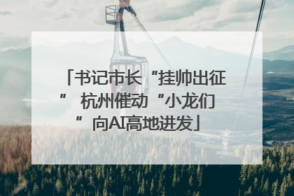 书记市长“挂帅出征” 杭州催动“小龙们”向AI高地进发