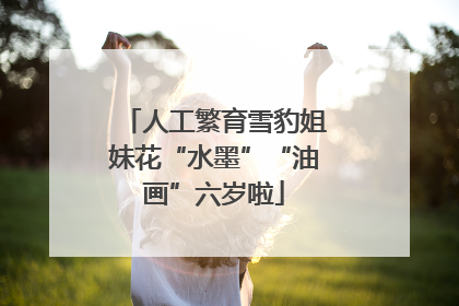 人工繁育雪豹姐妹花“水墨”“油画”六岁啦