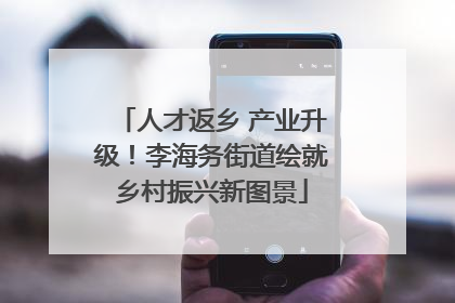 人才返乡 产业升级！李海务街道绘就乡村振兴新图景