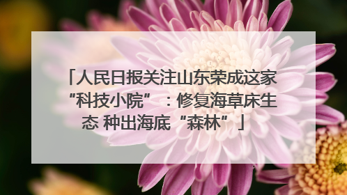 人民日报关注山东荣成这家“科技小院”：修复海草床生态 种出海底“森林”