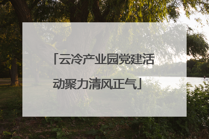 云冷产业园党建活动聚力清风正气
