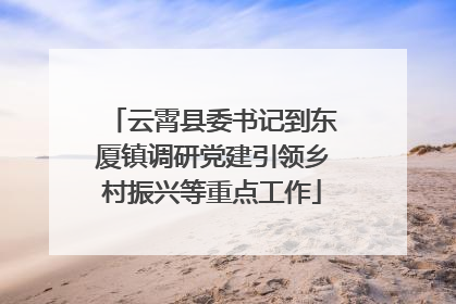 云霄县委书记到东厦镇调研党建引领乡村振兴等重点工作