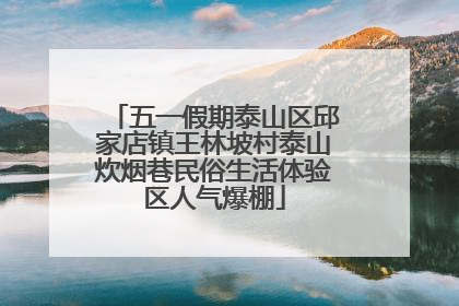 五一假期泰山区邱家店镇王林坡村泰山炊烟巷民俗生活体验区人气爆棚