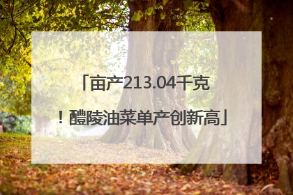 亩产213.04千克！醴陵油菜单产创新高