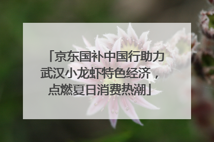 京东国补中国行助力武汉小龙虾特色经济，点燃夏日消费热潮