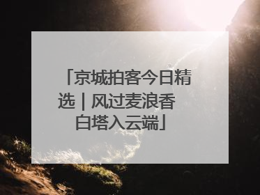 京城拍客今日精选｜风过麦浪香 白塔入云端