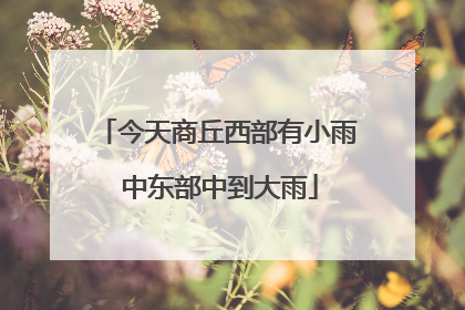 今天商丘西部有小雨 中东部中到大雨