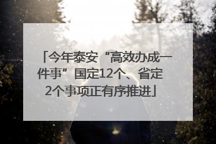 今年泰安“高效办成一件事”国定12个、省定2个事项正有序推进