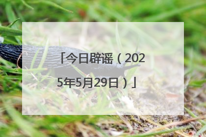 今日辟谣（2025年5月29日）