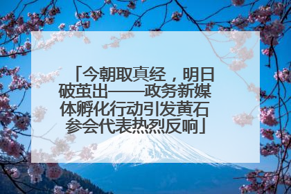 今朝取真经，明日破茧出——政务新媒体孵化行动引发黄石参会代表热烈反响