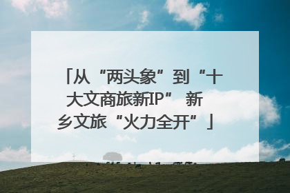 从“两头象”到“十大文商旅新IP” 新乡文旅“火力全开”