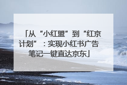 从“小红盟”到“红京计划”：实现小红书广告笔记一键直达京东