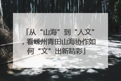 从“山海”到“人文”，看嵊州青田山海协作如何“文”出新精彩