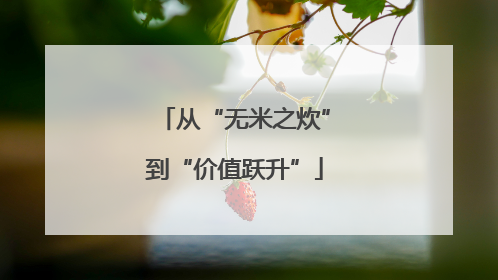 从“无米之炊”到“价值跃升”