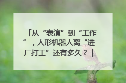 从“表演”到“工作”，人形机器人离“进厂打工”还有多久？｜机器人商业新纪元