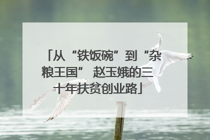 从“铁饭碗”到“杂粮王国” 赵玉娥的三十年扶贫创业路
