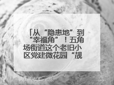 从“隐患地”到“幸福角”！五角场街道这个老旧小区党建微花园“靓”出幸福新图景