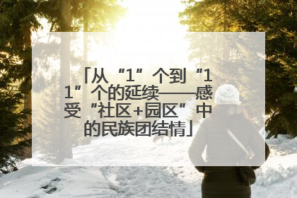 从“1”个到“11”个的延续——感受“社区+园区”中的民族团结情